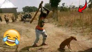 Crazy Funniest Videos Ever In The World (07)