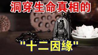 仔細看！詳解“十二因緣”，帶你洞穿生命的真相！