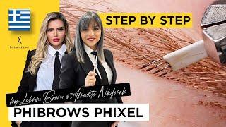 Hairstroke eyebrows | Phixel Brows training - Step by Step | PMU Certification by PhiAcademy