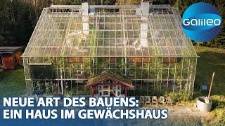 Wer im Glashaus sitzt - wohnt darin! Ein autarkes Haus im Gewächshaus