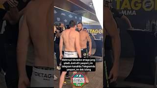 Mahmud Muradov Yangi Daxshat Jangi  #shorts #uzbekistan #uzb #ufc #mma