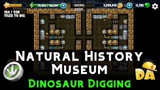 Natural History Museum | Dinosaur Digging | Diggy's Adventure