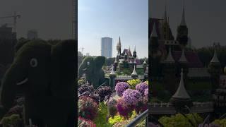 Dubai Miracle Garden #dubai #travel #traveling