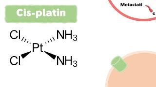 Mechanism of Cisplatin - Chemotherapy