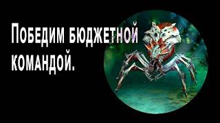 Самая бюджетная команда на 10 сложную паучиху.