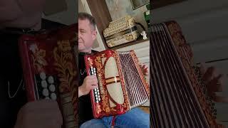Гармонь Traviata - шедевр! Ми мажор.