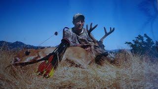 Traditional Bowhunting Columbian Blacktail Deer Part 2 Bill Langer Traditional Adventures