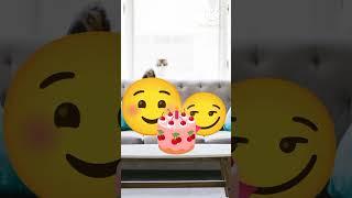 Mohab's Birthday!  (unreleased 2024 video) #mohabkhtab #emoji #animation #birthday