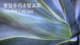 외국인과 나그네임을 증언하는 자 (히 11장 13~16절) | 강영석 부목사 | 분당우리소망교회 수요예배live | 2025. 3.26.