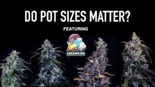 How Do Pot Sizes Affect Your Autoflowers