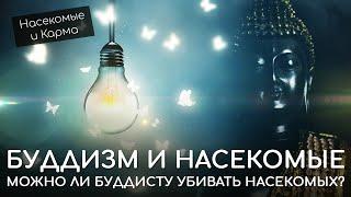 Буддизм и насекомые. Можно ли буддисту убивать насекомых? Насекомые и Карма. Не причинение вреда