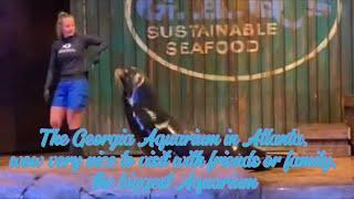 The Georgia Aquarium in Atlanta, wow very nice to visit with friends or family, the biggest Aquarium