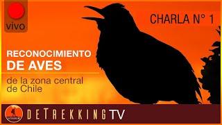  Reconocimiento de aves de la zona central de Chile