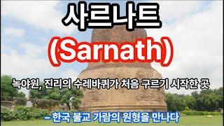 인도 사르나트, 진리의 수레바퀴가 처음 구르기 시작한 곳 – 한국 불교 가람의 원형을 만나다