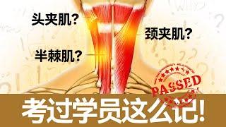 2022 易北联邦按摩考试题目解析之头颈肌肉（下）