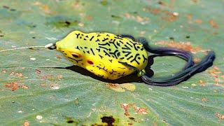 Froggin' TRICKS That Catch BIG BASS