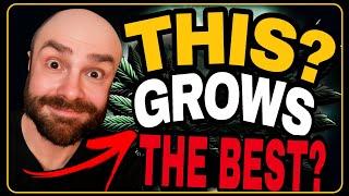 Organic & Synthetic Nutrients: Does This Help Grow Better Cannabis?