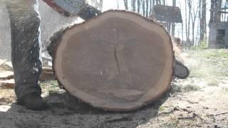 Mastermind Worksaws Ported Solo 665 Chainsaw