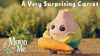 A Very Surprising Carrot  MOON and ME  Relaxing Bedtime Stories for Kids