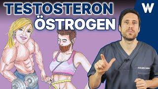 Testosteron vs. Östrogene: Achte auf diese Symptome! Folgen durch Mangel oder Überschuss