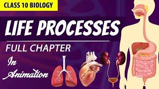 Life processes Full chapter | class 10 Animated video | 10th BIOLOGY | ncert #science | Chapter 6