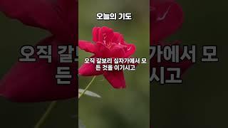 "주의 권능과 능력과 선하심으로 인도하여 주옵소서" #오늘의기도 #은혜로운채널