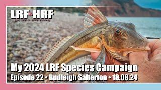 Episode 22: My 2024 LRF Species Hunt - Budleigh Salterton