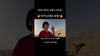 이집트 여행 피라미드 호객 상대하기 #이집트 #이집트여행 #피라미드투어 #피라미드호객 #호객퇴치 #이집트여행꿀팁