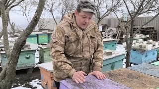 Отвечаем на ваши комментарии по пчеловодству. Часть 2