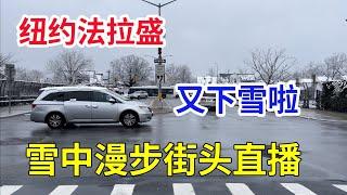 纽约法拉盛  雪中漫步街头直播