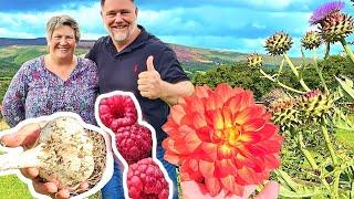 4 Acre UK Food Garden TOUR + TIPS: A Self-Sufficient INSPIRATION!