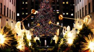 How to Have a Green Christmas: Bloomberg Green: