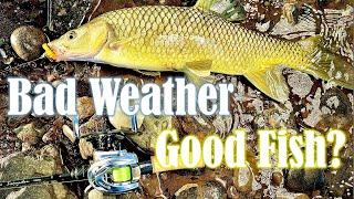 Bad weather = Good fish