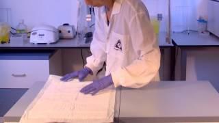 5.  PCRun Molecular Detection kit +PCRun Reader