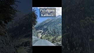 Pahalgam during Autumn  #pahalgam #kashmir #travelshorts #kashmirtourism  @munchNmap