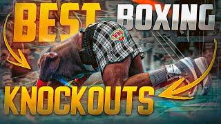 BEST BOXING KNOCKOUTS OF 2024 | PART 7 | BOXING FIGHT HIGHLIGHTS KO HD