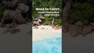 Need to Relax? Listen and Enjoy  #chillout #relaxmusic #4k #nature