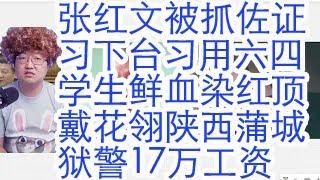 张红文被抓，佐证习近平下台。张红文和六四屠夫陈云宋任穷关系。张红文前世今生。习近平用六四学生鲜血染红自己顶戴花翎。大外宣幻想习《平反六四》？陕西蒲城赵一德血腥清场，狱警17万工资，公务员涨薪只为镇压