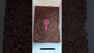 Sprungki rodi vs Mealworm #experiment #incrediboxsprunki