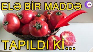 Bu tərəvəzdə elə bir  maddə tapıldı ki... ŞOK ARAŞDIRMA