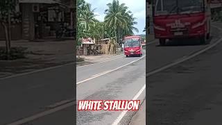 White Stallion Express 55 ️07/04/24  1054H @Catmon, Cebu #busspotting