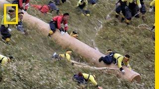 Riding Giant Logs in Japan's Dangerous 1,200-Year-Old Festival | Short Film Showcase