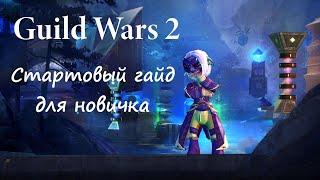 Guild Wars 2 Стартовый гайд для новичка