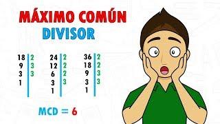 MAXIMO COMUN DIVISOR Super Facil - Para principiantes