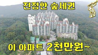 자연을 담은 진정한 숲세권 아파트 단돈2,000만원~에 나왔습니다[땅지통]