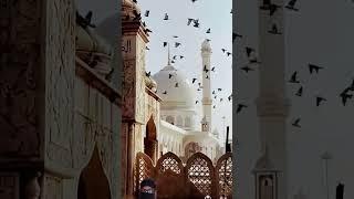 Duniya ka sabse khubsurat majhab Islam#Islam zindabad#trending short#short viral#viral#great#Allah#