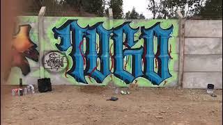 Registro graffitti 1060