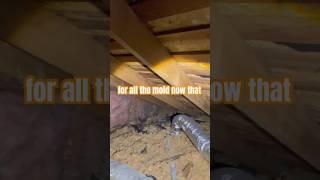  HVAC Tech Said "No Issues" – I Found MOLD! 