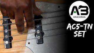 Stingray Punch with Jazz Versatility // Anaconda AC5-TN Pickups