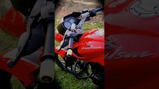 135 Pulsar ️#135 #135cc  #pulsar #bike